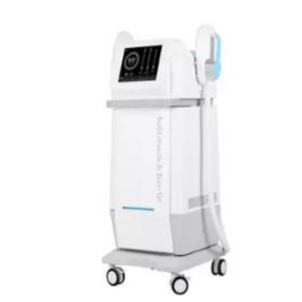 2 in 1 Ems Slim Machine SV04-02