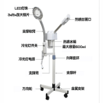 2 in 1 hot spray lamp; LED magnifying glass