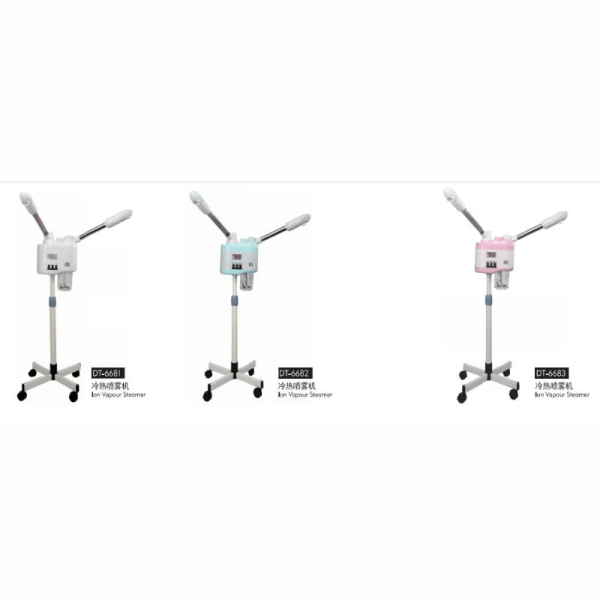 Ion Vapour Steamer
